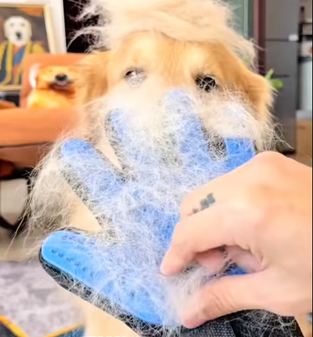 Guante Cepillo Quita Pelos para Mascotas