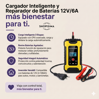 Cargador De Batería De Emergencia