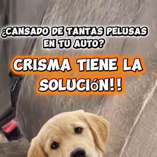 Cubre Asientos Especial Para Mascotas