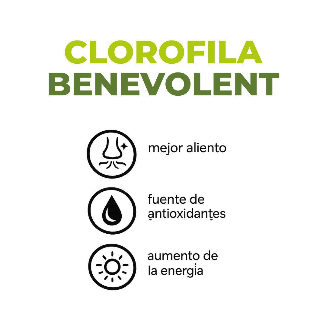 Clorofila Benevolent 60 ML