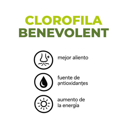 Clorofila Benevolent 60 ML