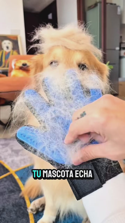 Guante Cepillo Quita Pelos para Mascotas